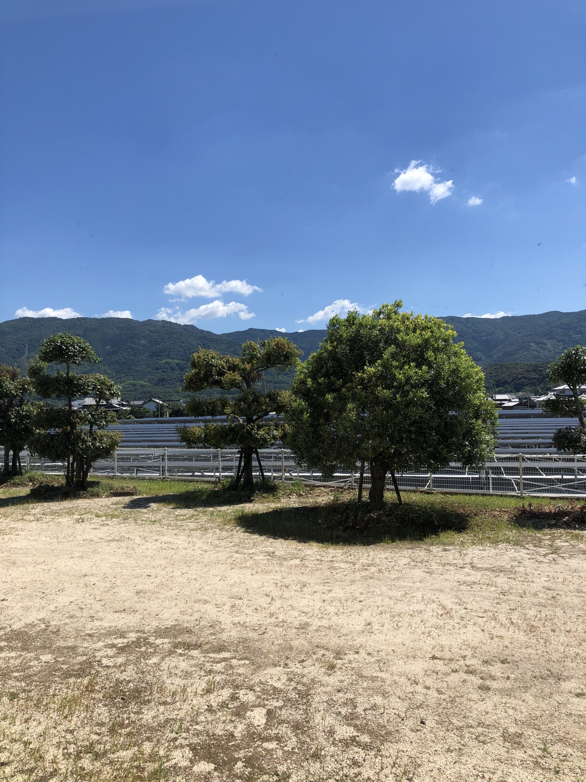 夏休みは定期健診へ！